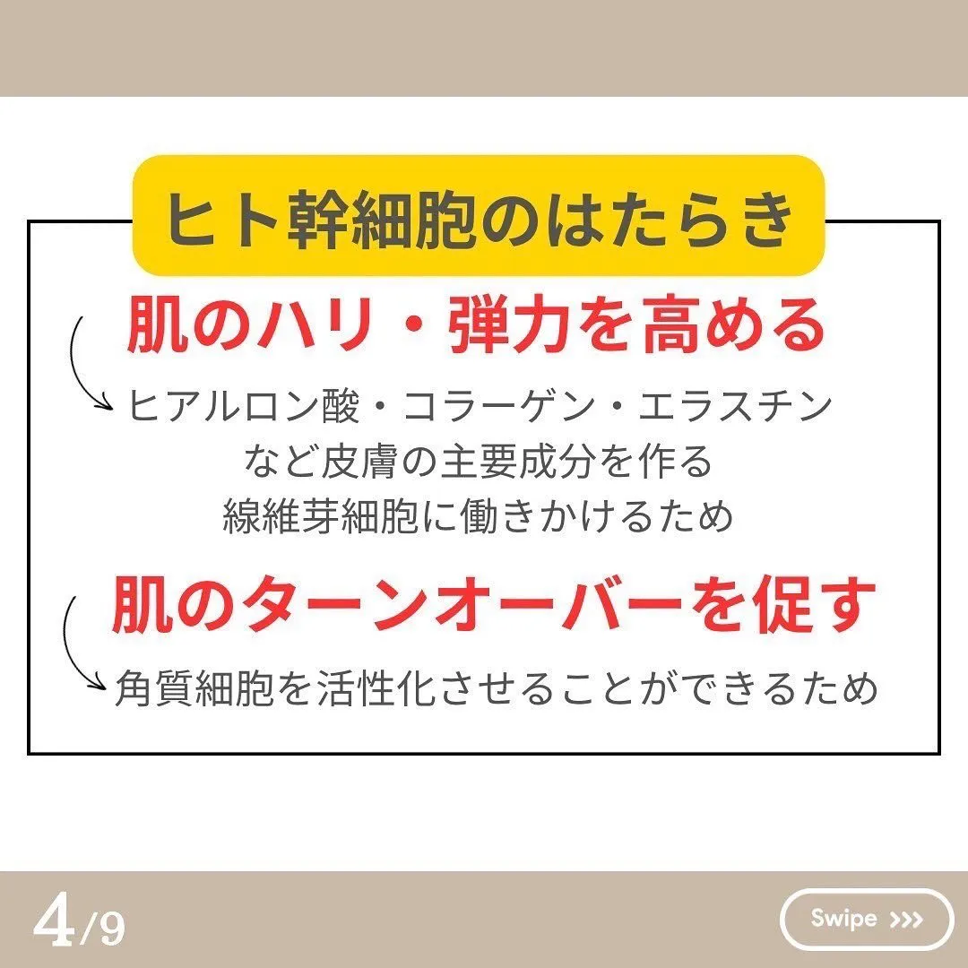 美人度UP！ヒト幹細胞のおすすめ！！