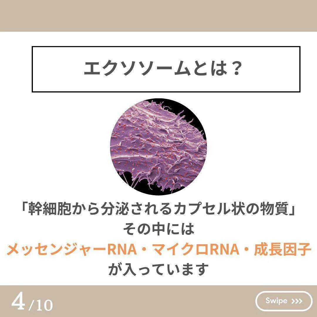 見ないと損‼️エクソソーム・幹細胞培養上精液の違いを徹底解説...