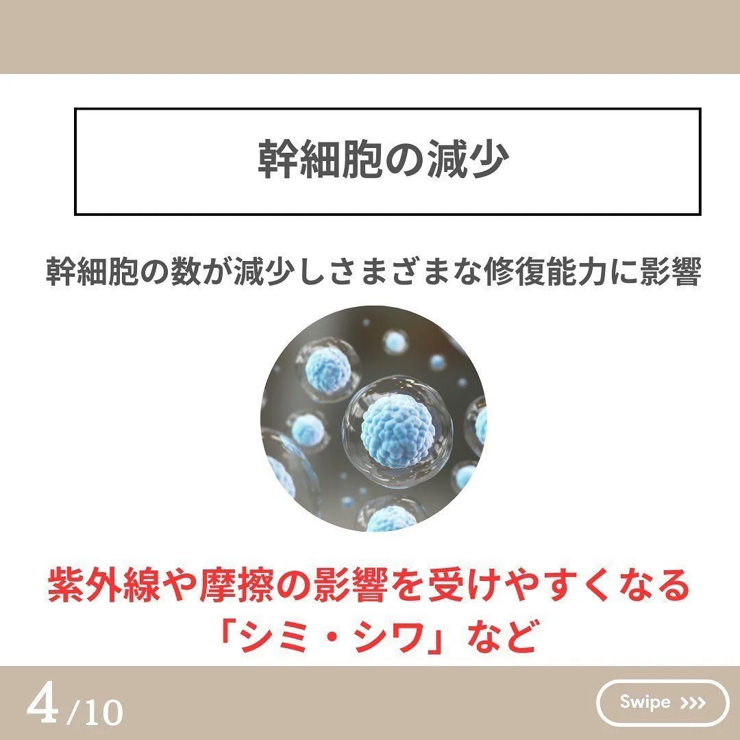 衝撃‼️年齢を重ねた幹細胞ってどうなるの？