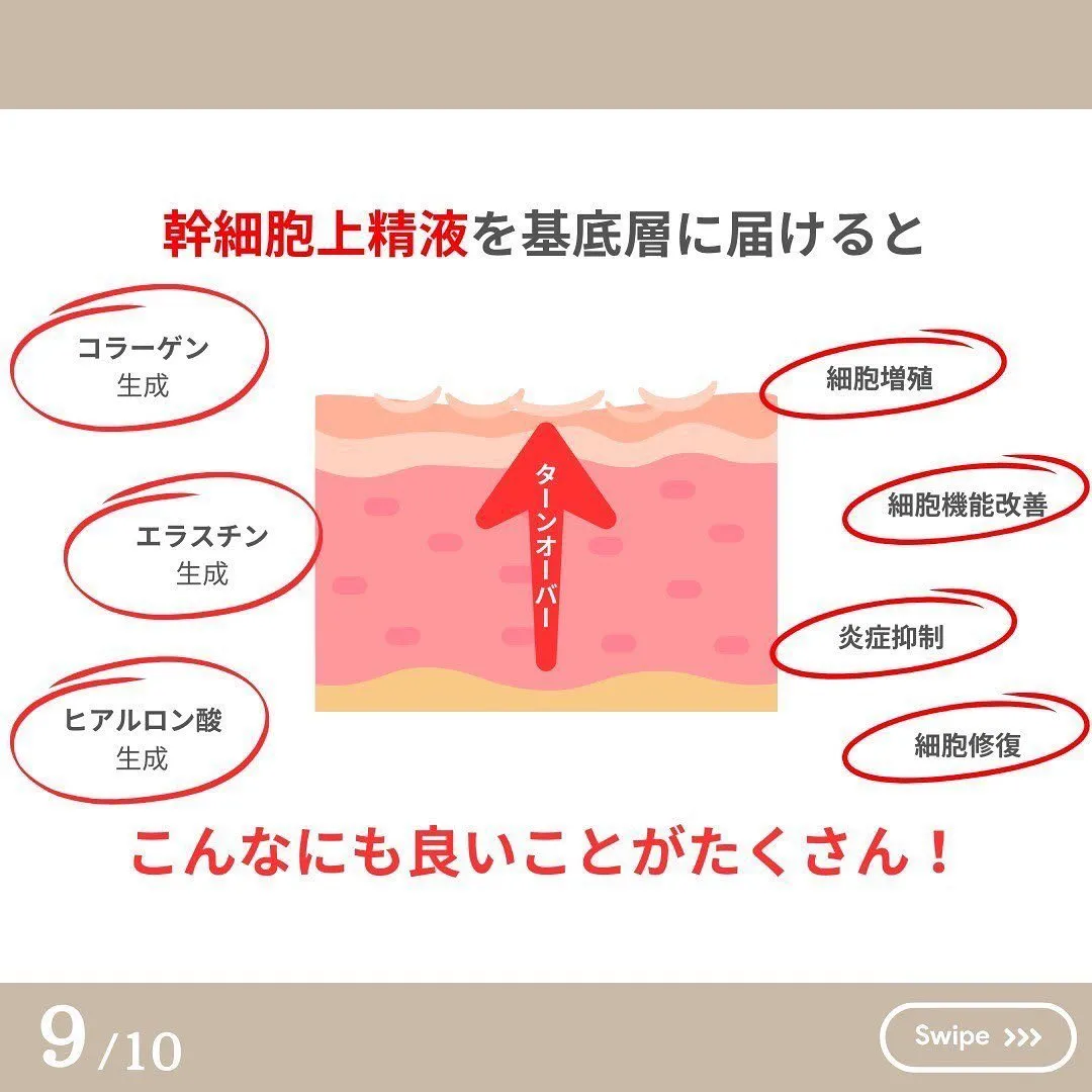 衝撃‼️年齢を重ねた幹細胞ってどうなるの？